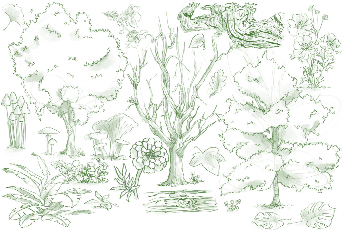 Vegetation Study 2